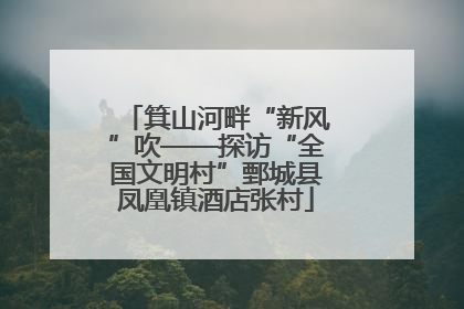 箕山河畔“新风”吹——探访“全国文明村”鄄城县凤凰镇酒店张村