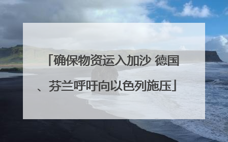 确保物资运入加沙 德国、芬兰呼吁向以色列施压