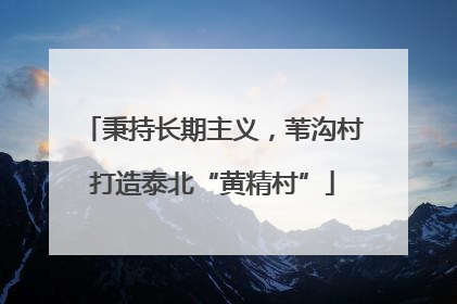 秉持长期主义，苇沟村打造泰北“黄精村”