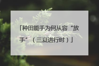 种田能手为何从容“放手”（三夏进行时）