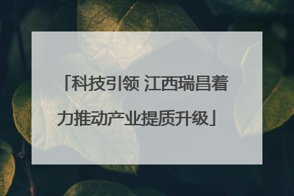 科技引领 江西瑞昌着力推动产业提质升级