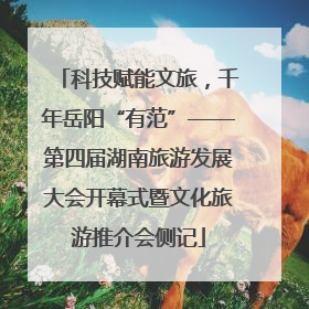 科技赋能文旅，千年岳阳“有范”——第四届湖南旅游发展大会开幕式暨文化旅游推介会侧记