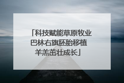 科技赋能草原牧业 巴林右旗胚胎移植羊羔茁壮成长