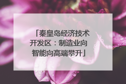 秦皇岛经济技术开发区：制造业向智能向高端攀升