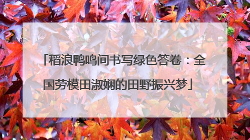 稻浪鸭鸣间书写绿色答卷：全国劳模田淑娴的田野振兴梦