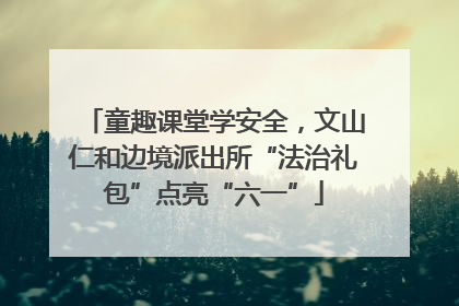童趣课堂学安全，文山仁和边境派出所“法治礼包”点亮“六一”