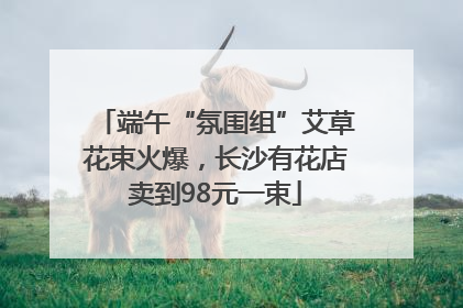 端午“氛围组”艾草花束火爆，长沙有花店卖到98元一束