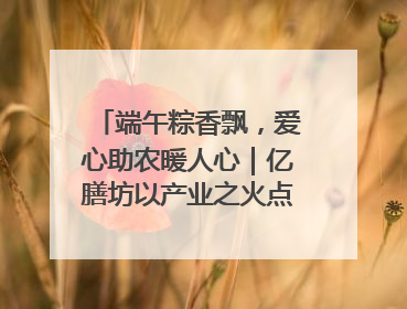 端午粽香飘，爱心助农暖人心｜亿膳坊以产业之火点亮乡村振兴路