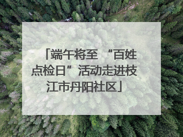 端午将至 “百姓点检日”活动走进枝江市丹阳社区