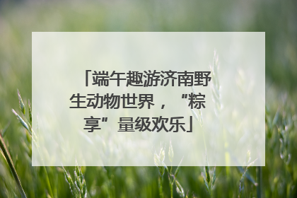 端午趣游济南野生动物世界，“粽享”量级欢乐