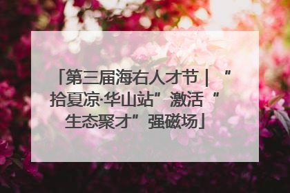 第三届海右人才节｜“拾夏凉·华山站”激活“生态聚才”强磁场