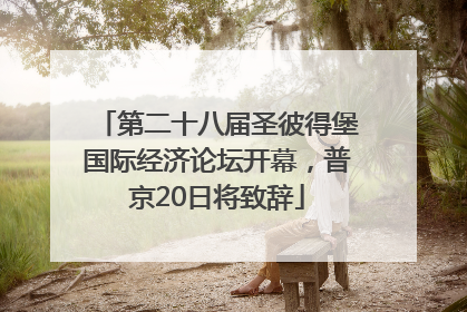第二十八届圣彼得堡国际经济论坛开幕，普京20日将致辞