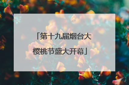 第十九届烟台大樱桃节盛大开幕