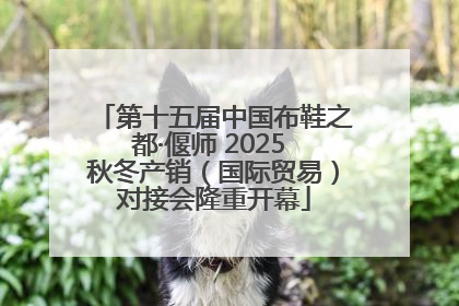 第十五届中国布鞋之都·偃师 2025 秋冬产销（国际贸易）对接会隆重开幕