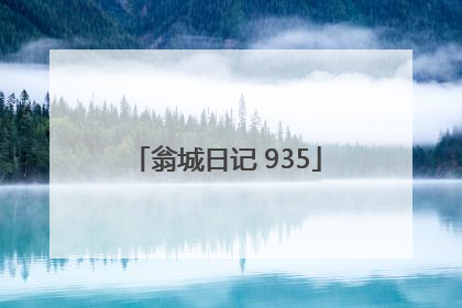 翁城日记 935