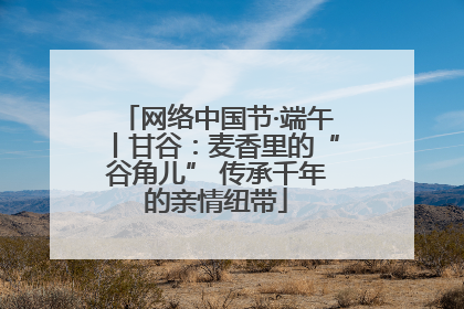 网络中国节·端午丨甘谷：麦香里的“谷角儿” 传承千年的亲情纽带