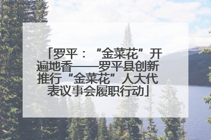 罗平：“金菜花”开遍地香——罗平县创新推行“金菜花”人大代表议事会履职行动