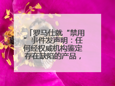 罗马仕就“禁用”事件发声明：任何经权威机构鉴定存在缺陷的产品，将依法负全责