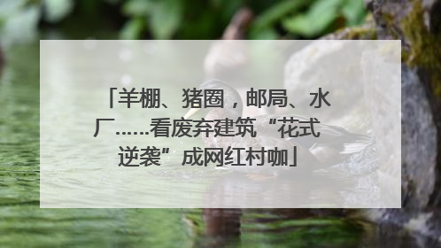 羊棚、猪圈，邮局、水厂……看废弃建筑“花式逆袭”成网红村咖