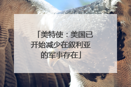 美特使：美国已开始减少在叙利亚的军事存在