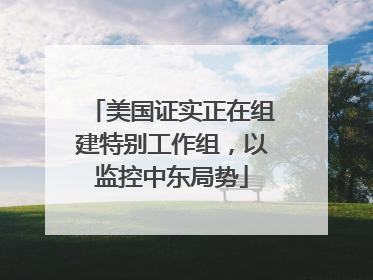 美国证实正在组建特别工作组，以监控中东局势