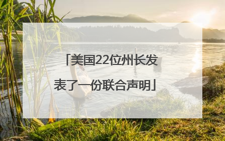 美国22位州长发表了一份联合声明