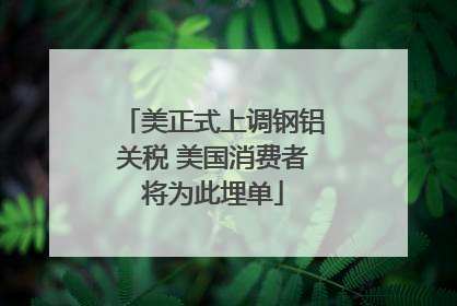 美正式上调钢铝关税 美国消费者将为此埋单