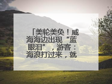 美轮美奂！威海海边出现“蓝眼泪”，游客：海浪打过来，就像星河一样