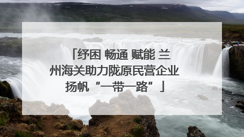 纾困 畅通 赋能 兰州海关助力陇原民营企业扬帆“一带一路”