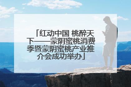 红动中国 桃醉天下——蒙阴蜜桃消费季暨蒙阴蜜桃产业推介会成功举办