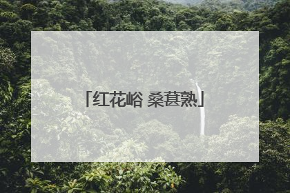 红花峪 桑葚熟