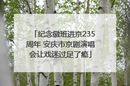 纪念徽班进京235周年 安庆市京剧演唱会让戏迷过足了瘾