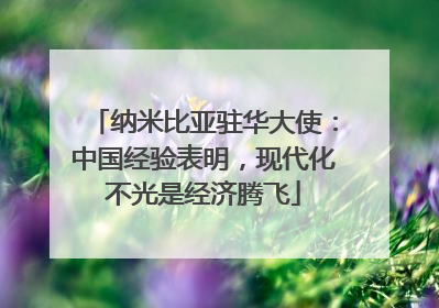 纳米比亚驻华大使：中国经验表明，现代化不光是经济腾飞
