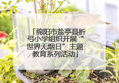 绵阳市盐亭县折弓小学组织开展“世界无烟日”主题教育系列活动