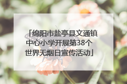 绵阳市盐亭县文通镇中心小学开展第38个世界无烟日宣传活动