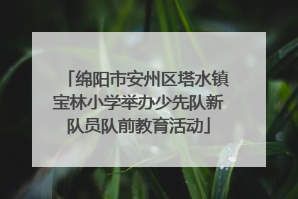 绵阳市安州区塔水镇宝林小学举办少先队新队员队前教育活动