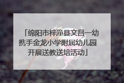 绵阳市梓潼县文昌一幼携手金龙小学附属幼儿园开展送教送培活动