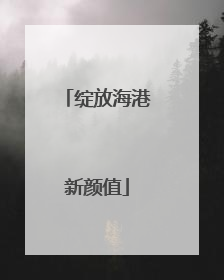 绽放海港新颜值