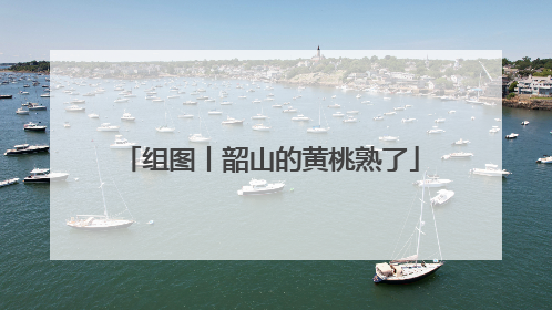 组图丨韶山的黄桃熟了