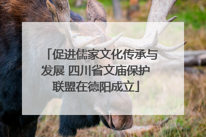 促进儒家文化传承与发展 四川省文庙保护联盟在德阳成立