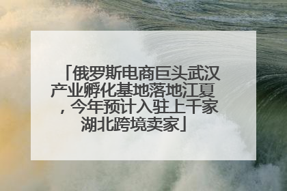 俄罗斯电商巨头武汉产业孵化基地落地江夏，今年预计入驻上千家湖北跨境卖家