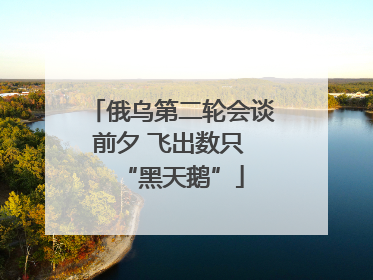 俄乌第二轮会谈前夕 飞出数只 “黑天鹅”