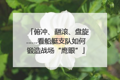 俯冲、翻滚、盘旋……看船艇支队如何锻造战场“鹰眼”
