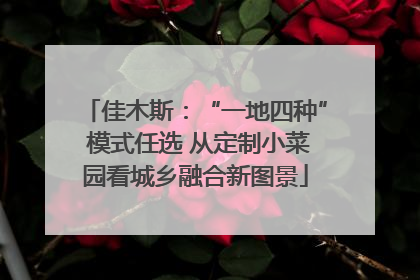 佳木斯：“一地四种” 模式任选 从定制小菜园看城乡融合新图景