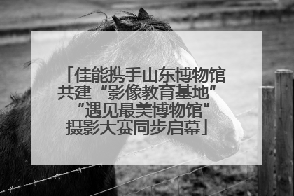 佳能携手山东博物馆共建“影像教育基地” “遇见最美博物馆”摄影大赛同步启幕