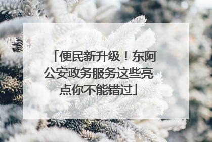 便民新升级！东阿公安政务服务这些亮点你不能错过