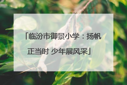 临汾市御景小学：扬帆正当时 少年展风采