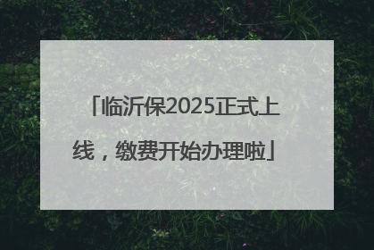 临沂保2025正式上线，缴费开始办理啦