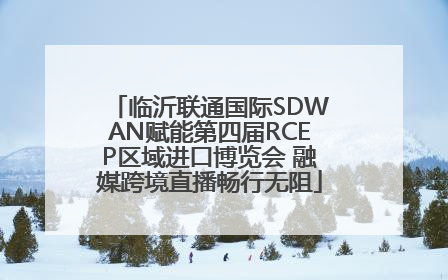 临沂联通国际SDWAN赋能第四届RCEP区域进口博览会 融媒跨境直播畅行无阻