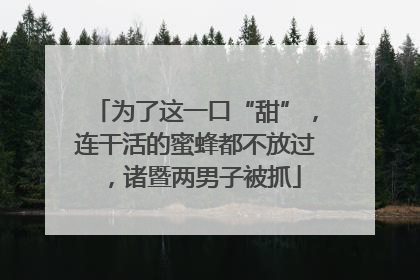 为了这一口“甜”，连干活的蜜蜂都不放过，诸暨两男子被抓